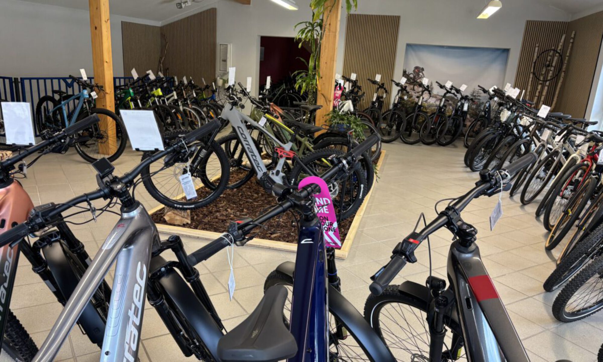 Bild Ausstellung oben